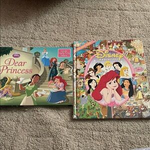 Disney Princess Storybook Collection - Pink and Blue
